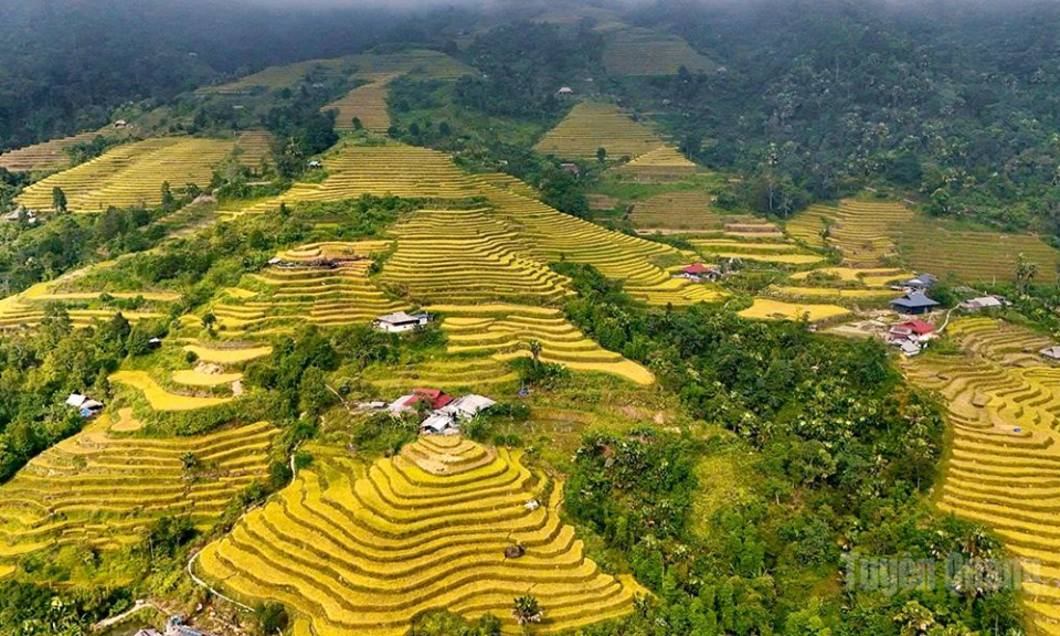 M&ugrave;a v&agrave;ng Khuổi My