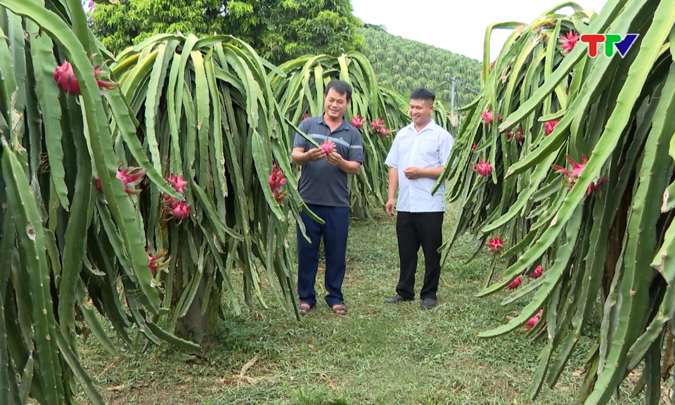 Tuy&ecirc;n Quang trẻ h&oacute;a đội ngũ c&aacute;n bộ cơ sở