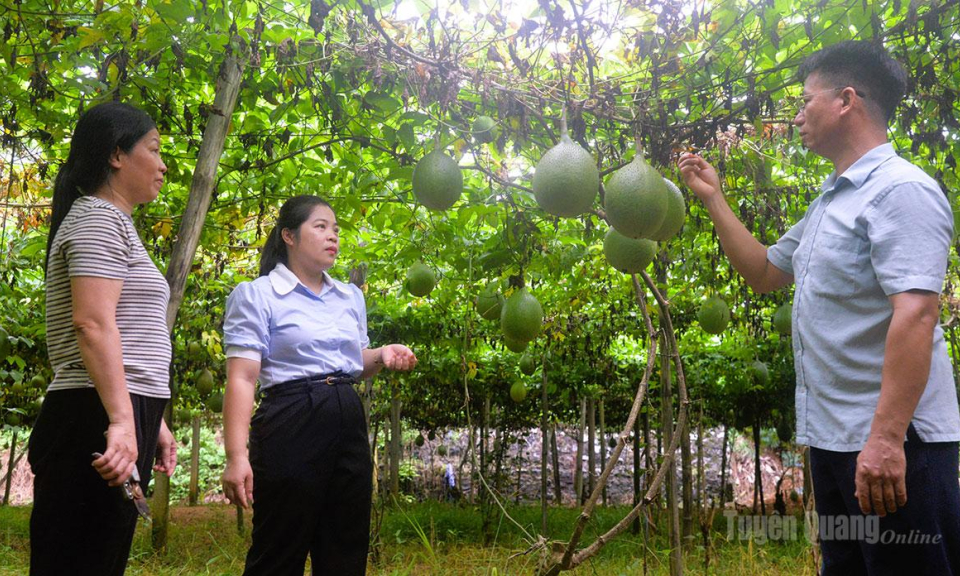 Nghị quyết s&aacute;t việc, chi bộ s&aacute;t D&acirc;n