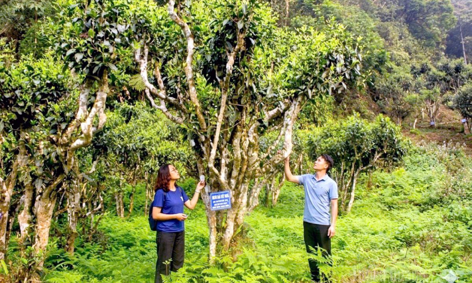 N&ocirc;ng nghiệp h&agrave;ng h&oacute;a từ m&atilde; số v&ugrave;ng trồng