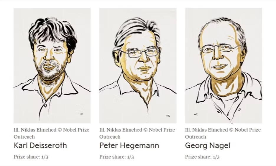 Nghi&ecirc;n cứu về c&ocirc;ng nghệ quang di truyền học được trao giải Nobel Y sinh