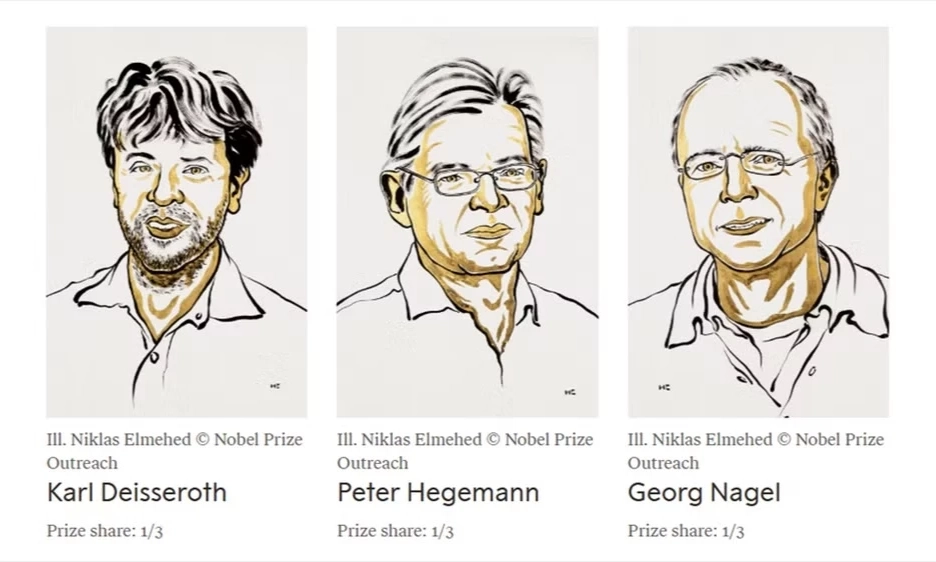Nghi&ecirc;n cứu về c&ocirc;ng nghệ quang di truyền học được trao giải Nobel Y sinh