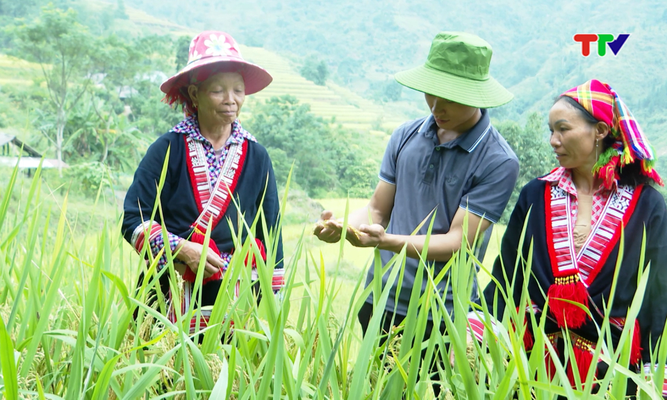 Ph&aacute;t triển sinh kế - hướng giảm ngh&egrave;o ở Hồ Thầu.
