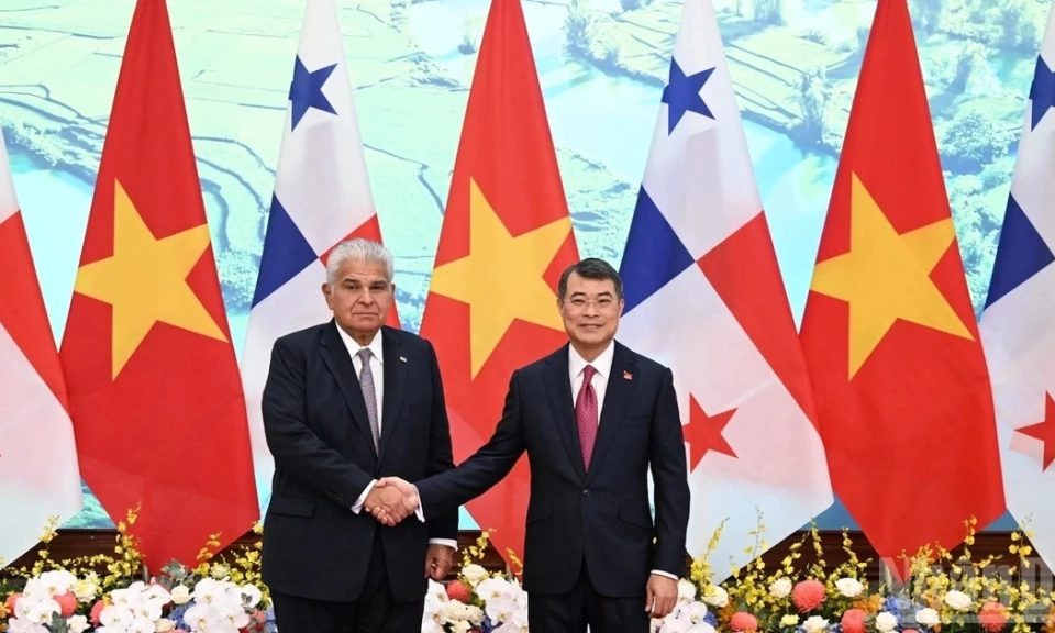 [Ảnh] Thủ tướng L&ecirc; Minh Hưng hội kiến với Tổng thống Panama Jose Raul Mulino