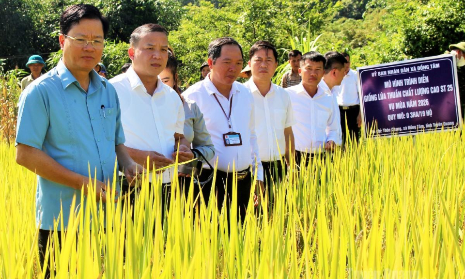 Đồng T&acirc;m quyết t&acirc;m ho&agrave;n th&agrave;nh c&aacute;c chỉ ti&ecirc;u năm 2026