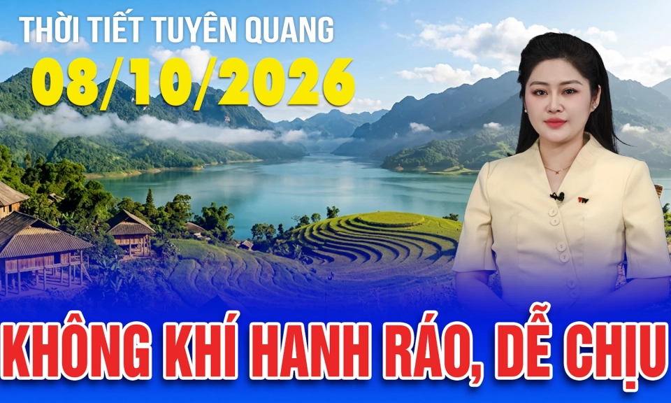 Thời tiết Tuy&ecirc;n Quang ng&agrave;y 08/10/2026