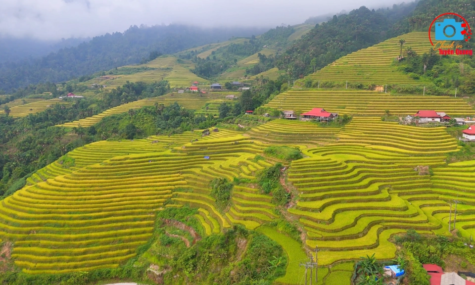 Checkin Tuy&ecirc;n Quang: Về Khuổi My m&ugrave;a l&uacute;a ch&iacute;n