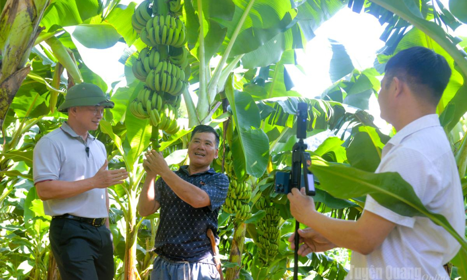 B&iacute; thư l&ecirc;n s&oacute;ng giới thiệu n&ocirc;ng sản qu&ecirc; nh&agrave;