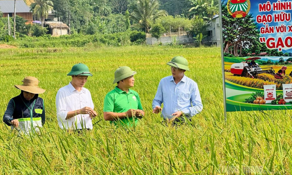 Nặng t&igrave;nh với qu&ecirc; hương