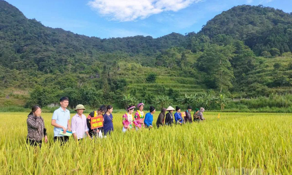 R&otilde; việc, r&otilde; kết quả