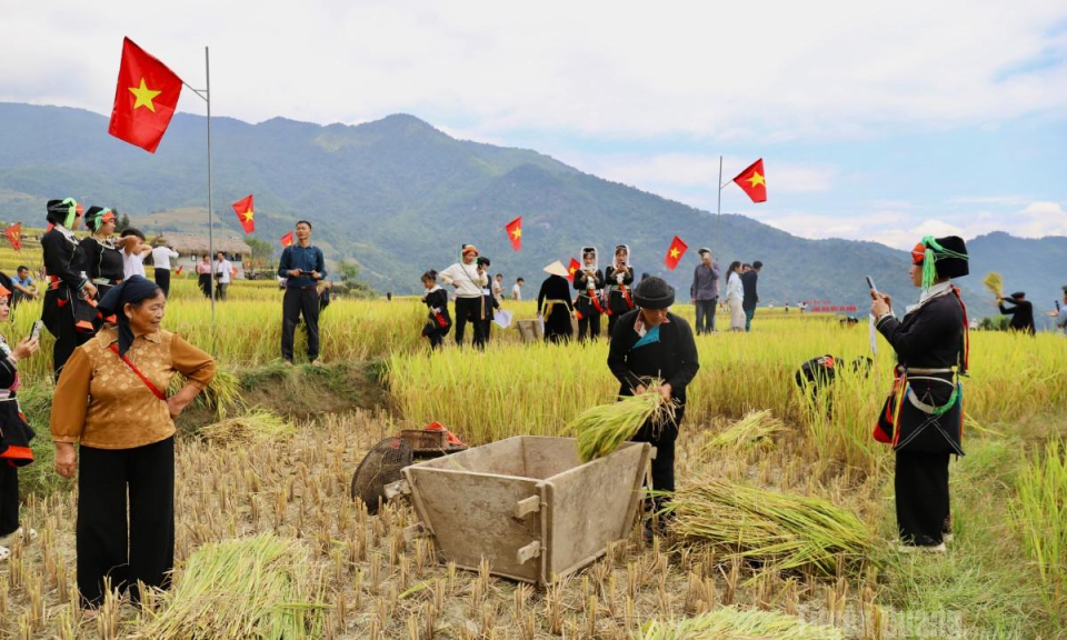 Lễ hội &ldquo;M&ugrave;a v&agrave;ng - L&agrave;ng nh&agrave; r&ecirc;u&rdquo; X&agrave; Ph&igrave;n năm 2026