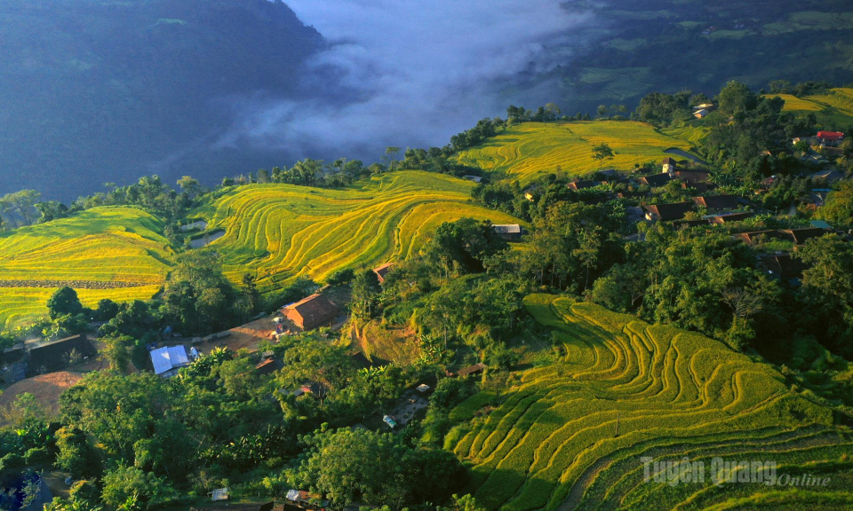 Buổi sớm ở Hồng Th&aacute;i