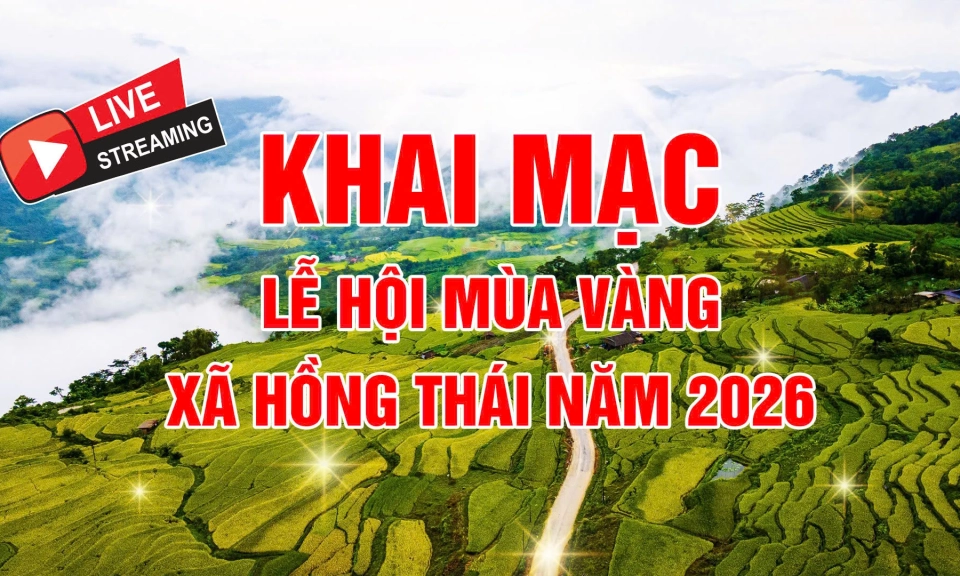 🔴Trực tiếp: Khai mạc Lễ hội M&ugrave;a v&agrave;ng Hồng Th&aacute;i năm 2026