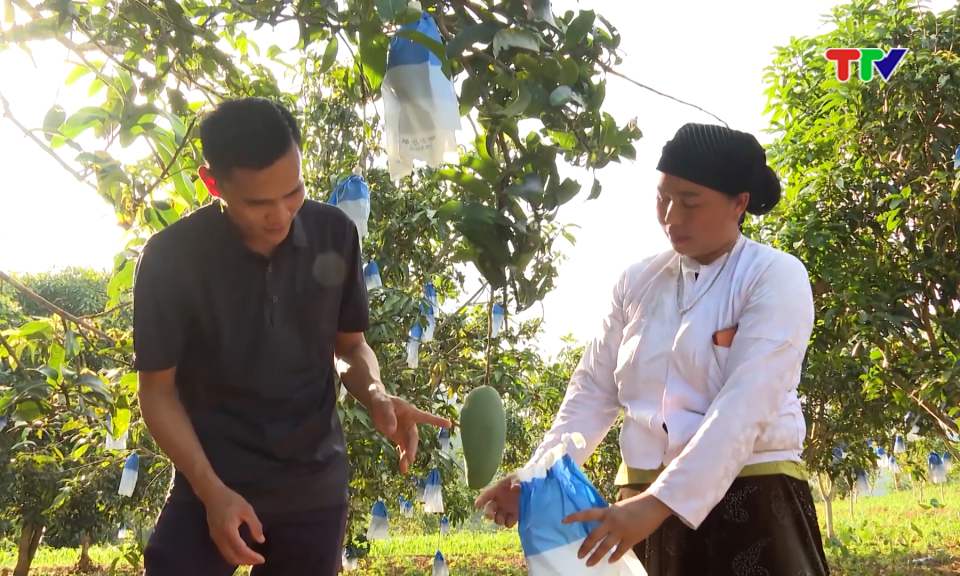 Nh&acirc;n d&acirc;n &ndash; chủ thể trong ph&aacute;t triển kinh tế ở cơ sở.