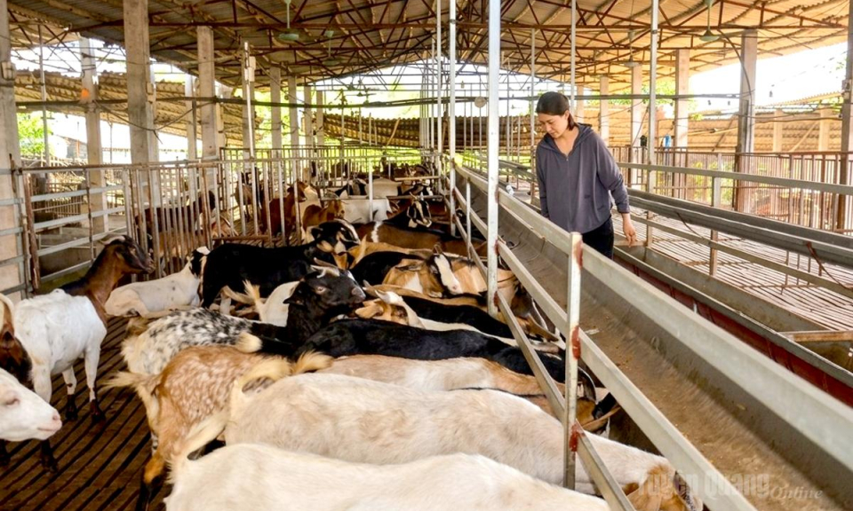 Bền ch&iacute; l&agrave;m gi&agrave;u