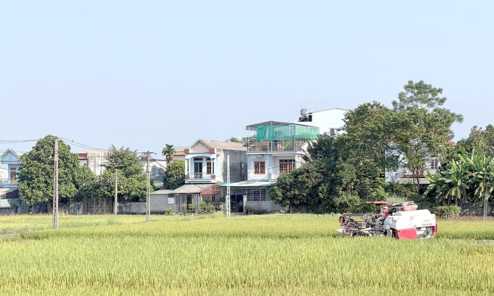 Tập trung sản xuất vụ đ&ocirc;ng