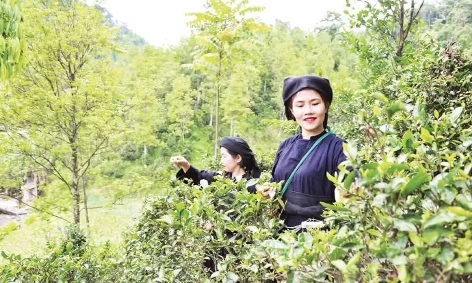 UNDP đ&aacute;nh gi&aacute; cao tiến bộ giảm ngh&egrave;o của Việt Nam