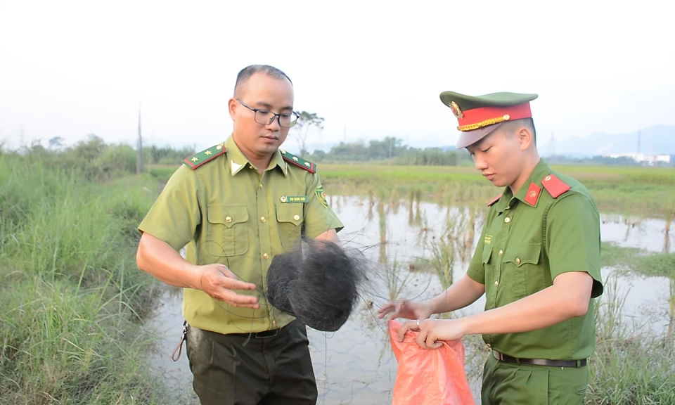 Ngăn chặn h&agrave;nh vi bẫy bắt động vật hoang d&atilde;, chim di cư
