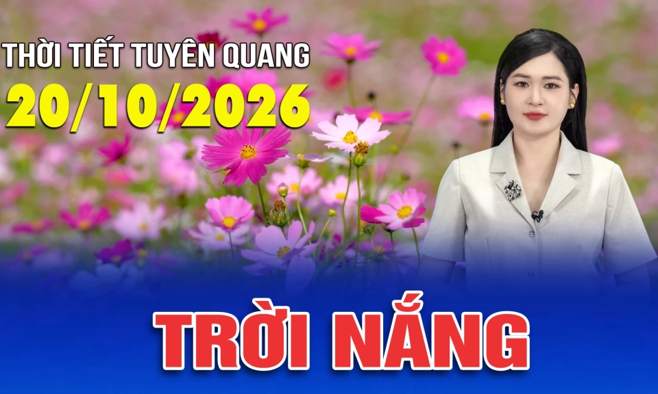 Thời tiết Tuy&ecirc;n Quang ng&agrave;y 20/10/2026