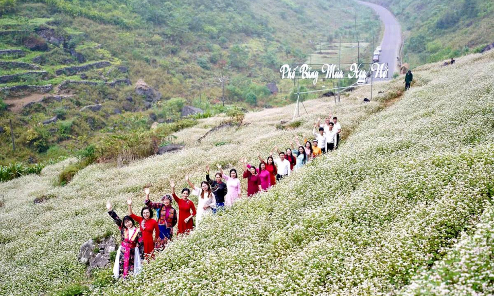 Sức h&uacute;t m&ugrave;a hoa Tam gi&aacute;c mạch