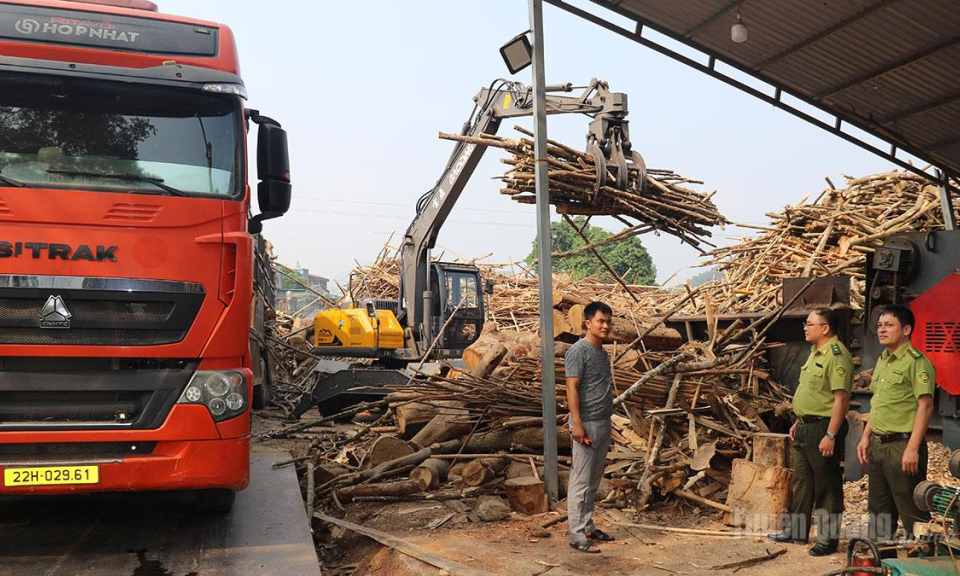 Tăng cường quản l&yacute; c&aacute;c cơ sở kinh doanh, chế biến l&acirc;m sản