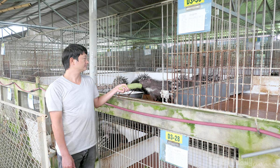 Mở hướng cho h&agrave;ng h&oacute;a chất lượng cao