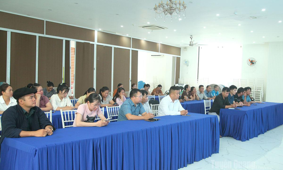 Tập huấn kỹ năng kinh doanh trực tuyến cho 40 hợp t&aacute;c x&atilde;