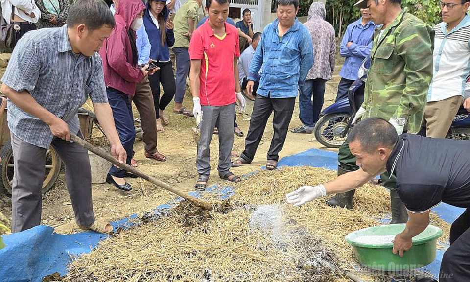N&acirc;ng cao năng lực sản xuất n&ocirc;ng nghiệp cho 150 học vi&ecirc;n