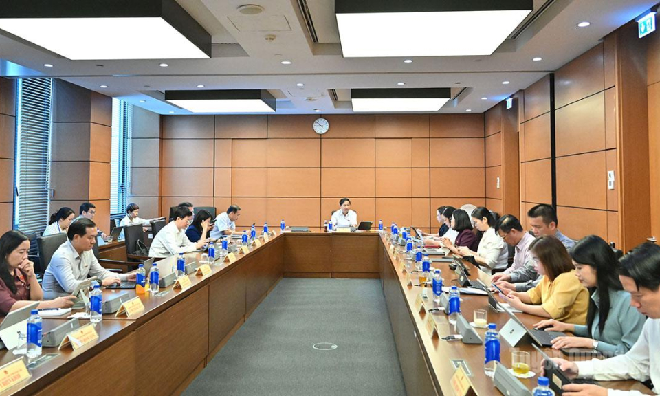 Đại biểu Quốc hội tỉnh g&oacute;p &yacute; dự &aacute;n Luật Đất đai, Nh&agrave; ở, Kinh doanh bất động sản (sửa đổi)