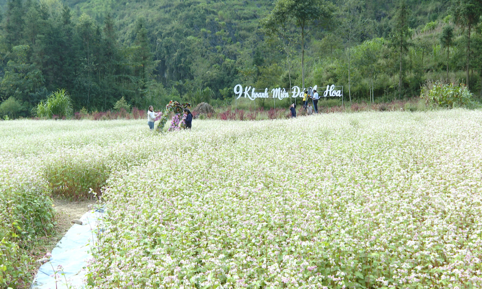 Sẵn s&agrave;ng cho Lễ hội hoa Tam gi&aacute;c mạch lần thứ XII