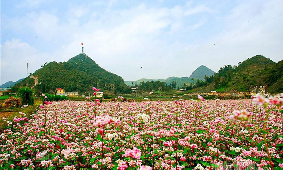 Dịu d&agrave;ng Tam gi&aacute;c mạch