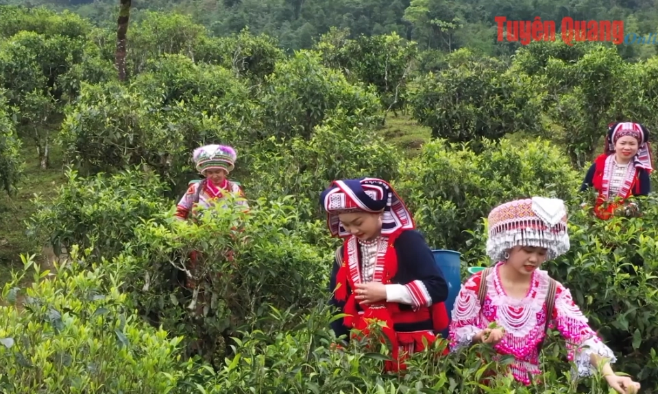Định h&igrave;nh động lực ph&aacute;t triển từ lợi thế địa phương